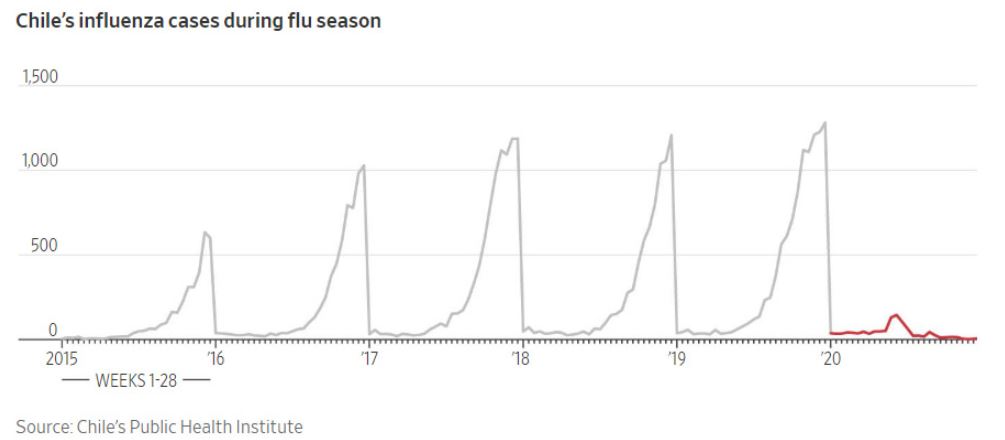 Chart — seasonal flu cases plummeting in the southern hemisphere